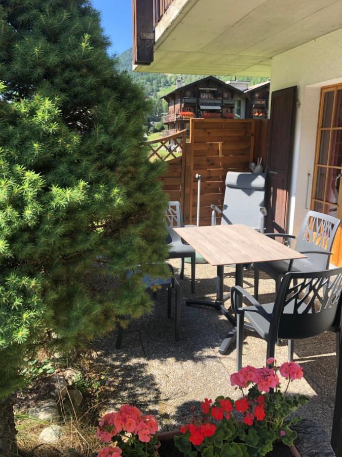 L'Herensarde, Bel Appartement Avec Jardin-Terrasse Et Garage Evolène Zewnętrze zdjęcie